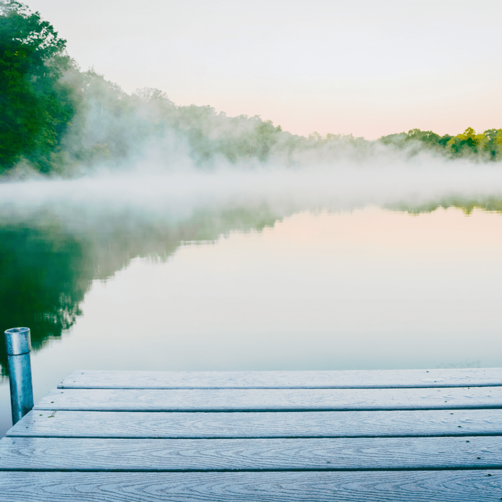 This Is A Photograph of Us: Imagery in Canadian&nbsp;Poetry