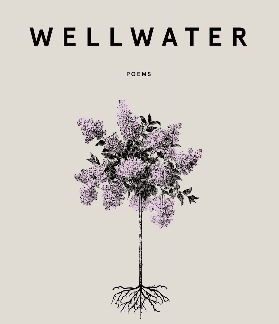 Bad Landscapes & The Heart’s Unbroken Land: A Review of Karen Solie’s WELLWATER (Anansi Press&nbsp;2025)