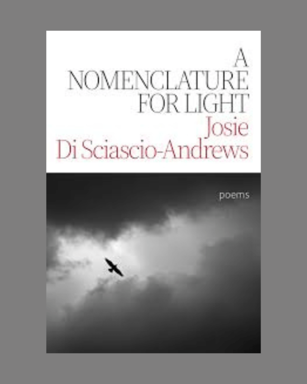A Nomenclature for Light by Josie Di Sciascio-Andrews (Mosaic Press,&nbsp;2025)
