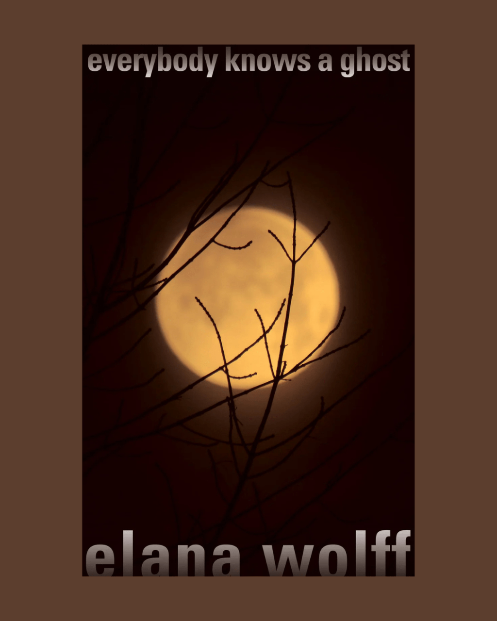 Four Ways to Approach “everybody knows a ghost” by Elana Wolff (Guernica Editions,&nbsp;2026).