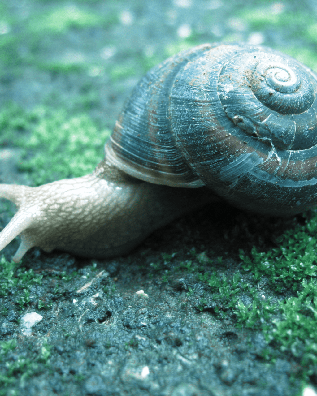 The Quick & The Read: On ‘The Short’&nbsp;Poem